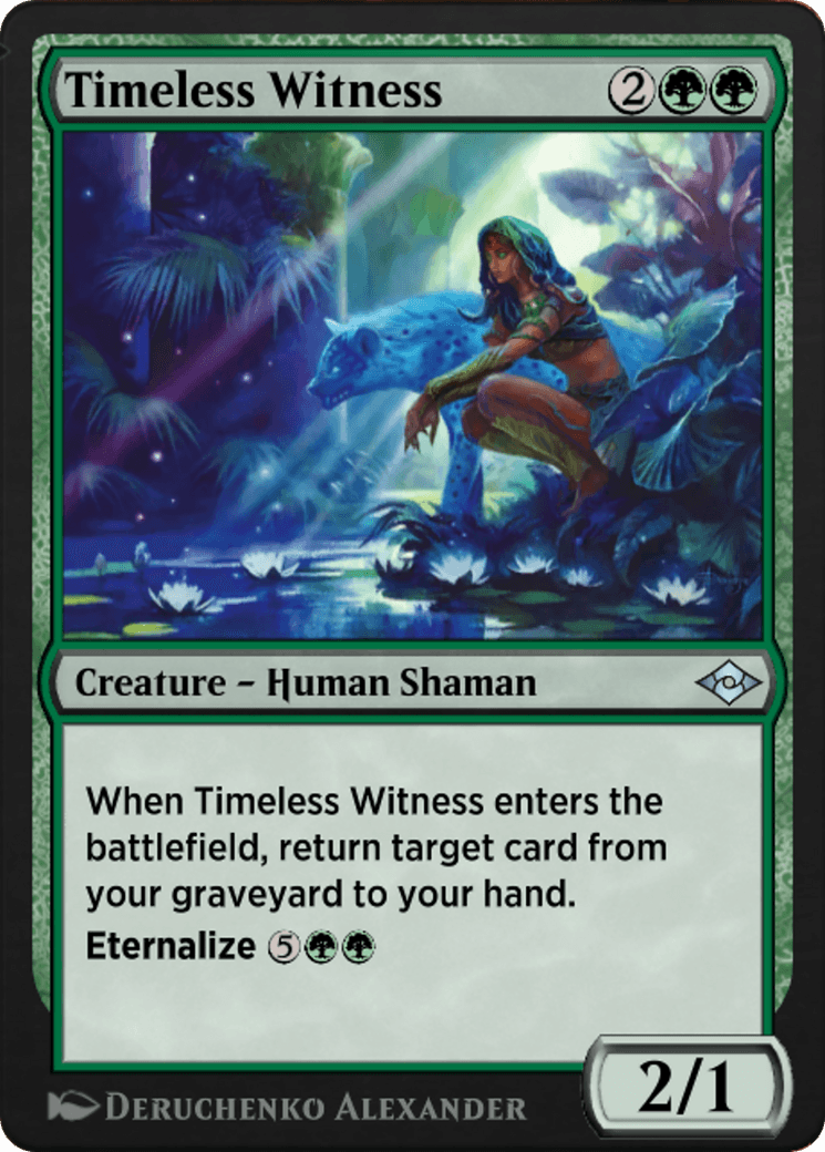 Timeless Witness
